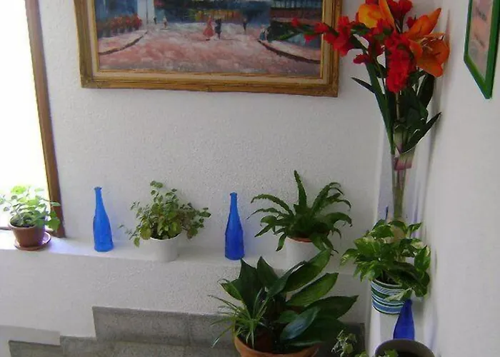 Saturno 3* 칼라 미요르